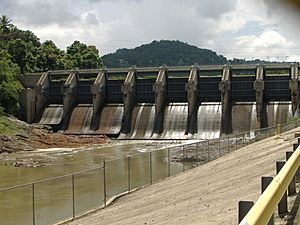 Carraizo Lake Dam, Puerto Rico.JPG