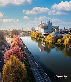 Crisul Repede River