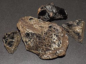 Dark Mica from Eastern Ontario