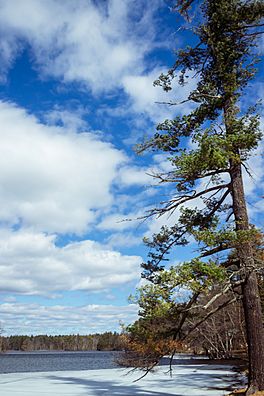 Haggetts Pond view, March 2019.jpg