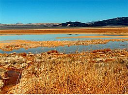 Harper Dry Lake Marsh.jpg