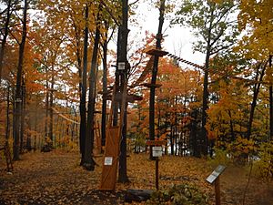 HeartLakeTreetopWalk