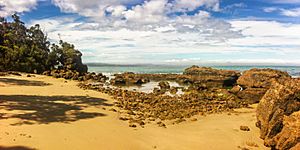 Hump Ridge Track beach