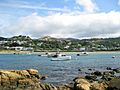 Island Bay Boats