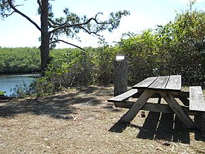 Jonathan Dickinson State Park 039