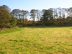 Lady Janes cottage field