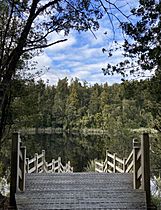 Lake Matheson Walk MRD 11