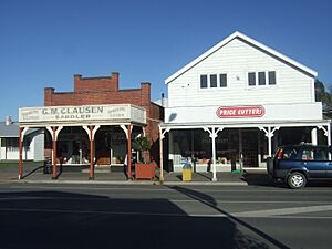 Leeston Shops 2009