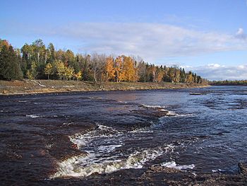 Loon Lake Realty Escanaba River.jpg