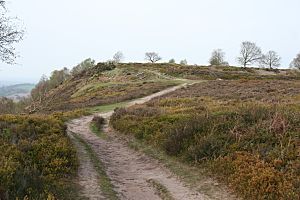 Maiden Castle Bickerton2