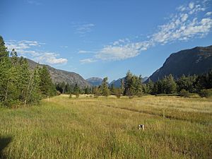 A small meadow in Mazama