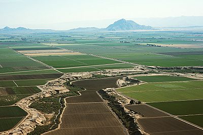 Mount Signal