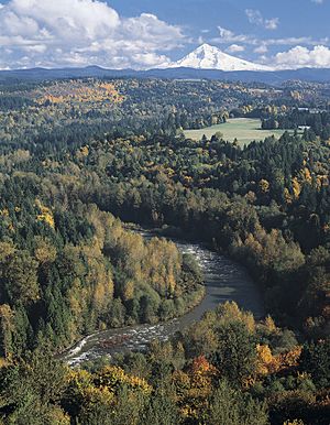 MtHood from JonsrudViewpt.jpg