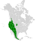 Myotis thysanodes map.svg