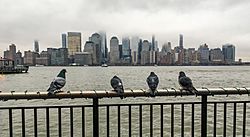 NYC Downtown Manhattan Skyline seen from Paulus Hook 2020-02-06 IMG 8003 FRD