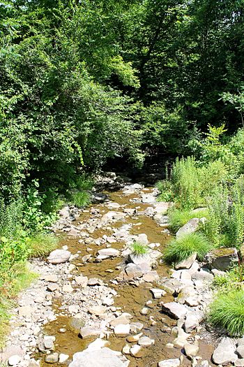 Oxbow Creek looking downstream.jpg