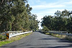 Oxley Lachlan River Bridge