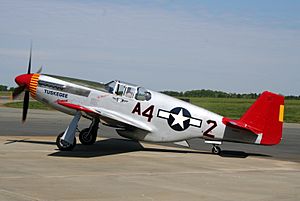 P51 Mustang Red Tail