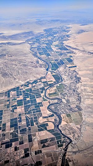 Palo Verde Valley aerial