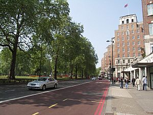 Park Lane, Mayfair - geograph.org.uk - 420019.jpg