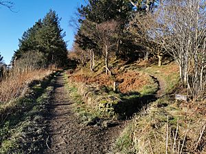 Penycloddiau footpaths