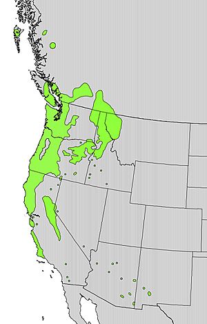 Prunus emarginata range map.jpg