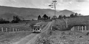 Queensland State Archives 351 Looking from Witta Road towards Conondale c 1931
