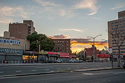 Rego Park Local Commerce-1