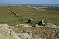 Remains of wall, Lihou - geograph.ci - 138