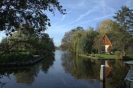 Rietveld bij Hazerswoude-Dorp