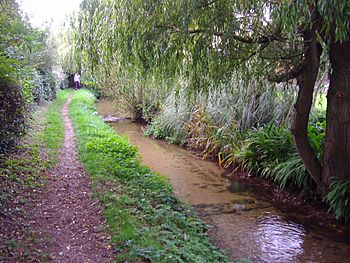 River Ingol at Snettisham 11,10,07.JPG