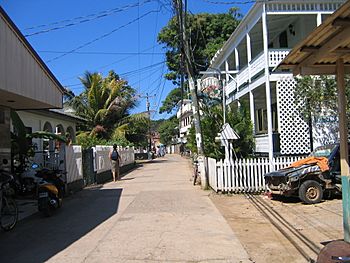 Road Near Munchies, Utila, Honduras.jpg