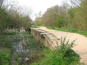 Rugby Central station remains2