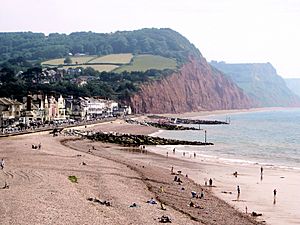 SidmouthBeach.JPG