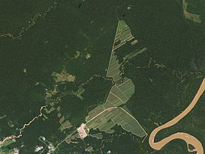 Sugarcane Deforestation, Bolivia, 2016-06-15 by Planet Labs