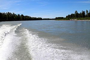 Susitna River in June 2015