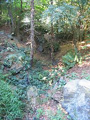 The Gorge, Warley Place, Great Warley - geograph.org.uk - 50672