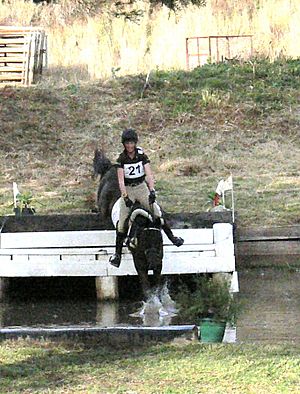 Thistle Hill Fleetwood waterjump