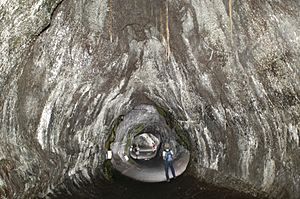 Thurston lava tube