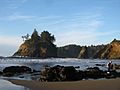 Trinidad State Beach - panoramio.jpg