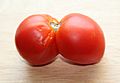 TwinTomato