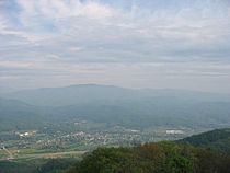 Unicoi