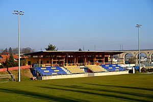 Wienerwaldstadion Tribüne