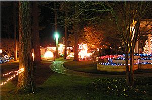 2007 GuidoGardensLightDisplay 2