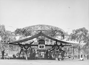 7 Sqn (AWM NEA0032).jpg