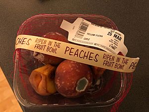 A punnet of rotten peaches