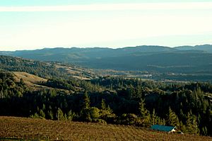 Anderson Valley, Mendocino county