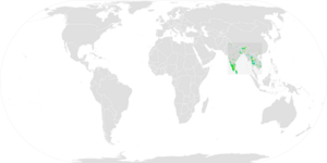 Ashy Woodswallow ebird data map.png