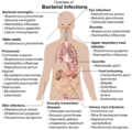 Bacterial infections and involved species