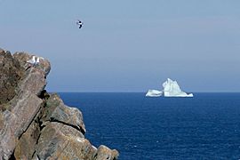 Cape Bonavista Nfld Puffin Island and Iceberg DSC07359 07